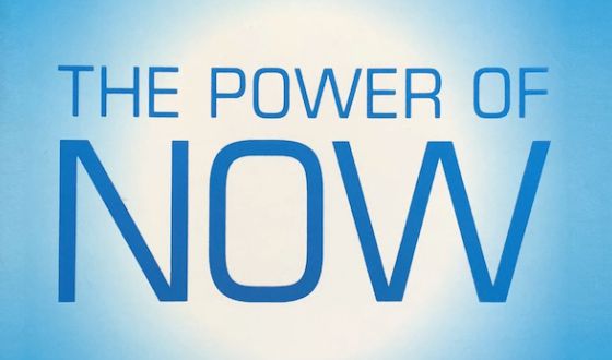 goosebumpmoment about the book “the power of now” by eckhart tolle